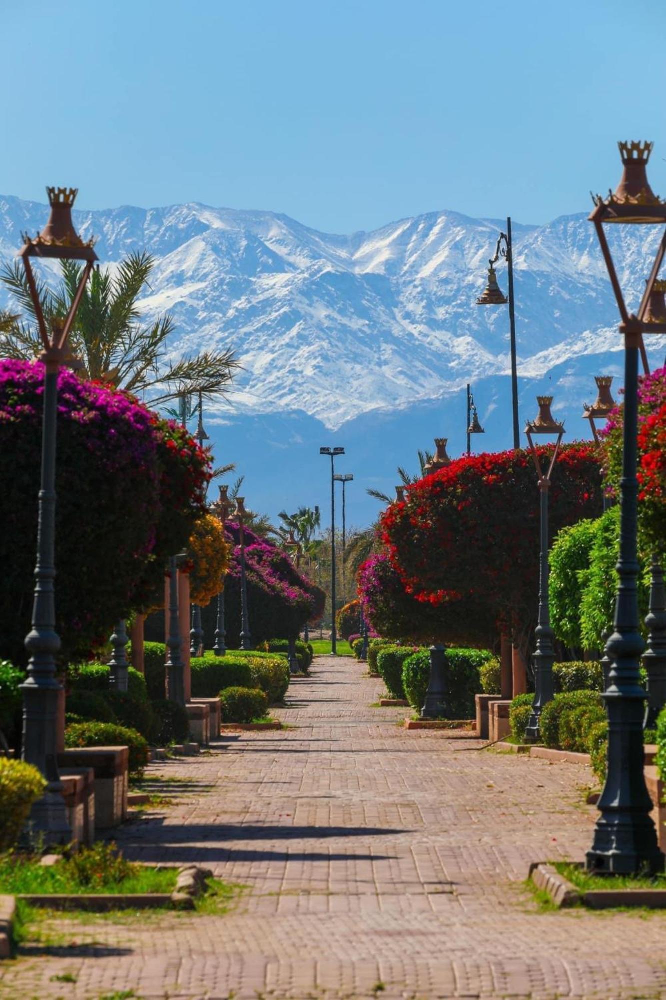 Riad Majestic Marrakech Marrakesh Buitenkant foto